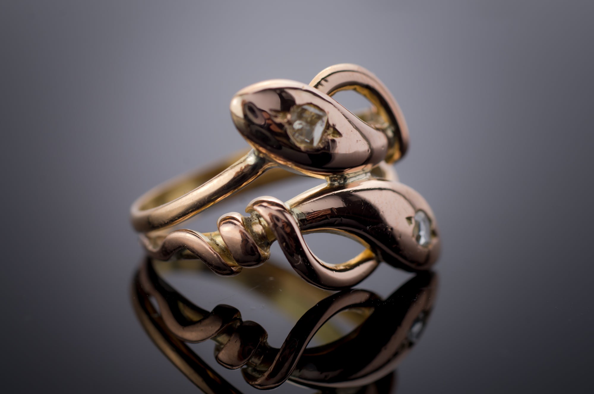 18K ROSE GOLD DOUBLE SNAKE RING - SinCityFinds Jewelry